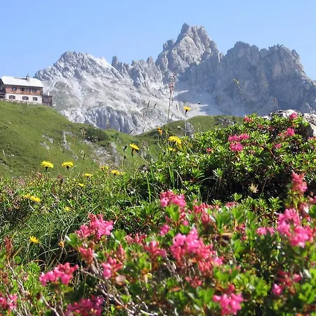 Traumplatzl Διαμέρισμα *