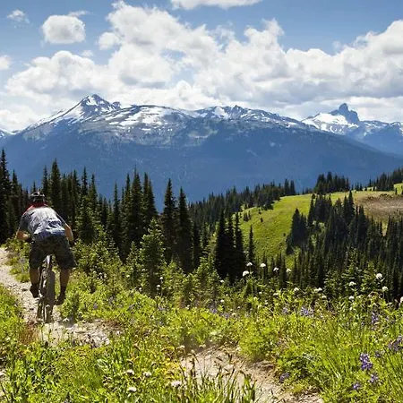 Διαμέρισμα Traumplatzl
