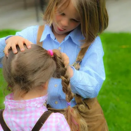 Traumplatzl Διαμέρισμα *