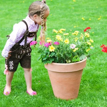 Traumplatzl Διαμέρισμα