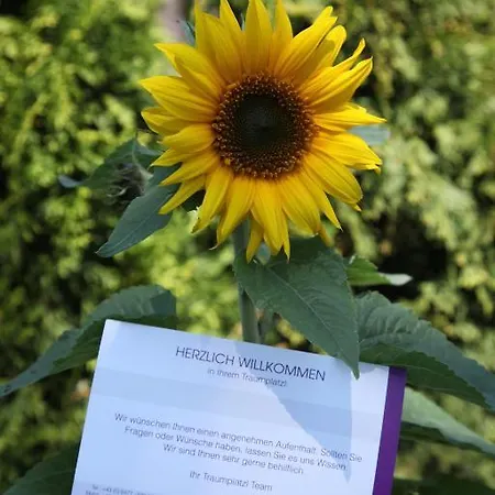 Traumplatzl Sankt Michael im Lungau