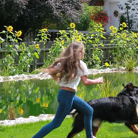 Traumplatzl Διαμέρισμα