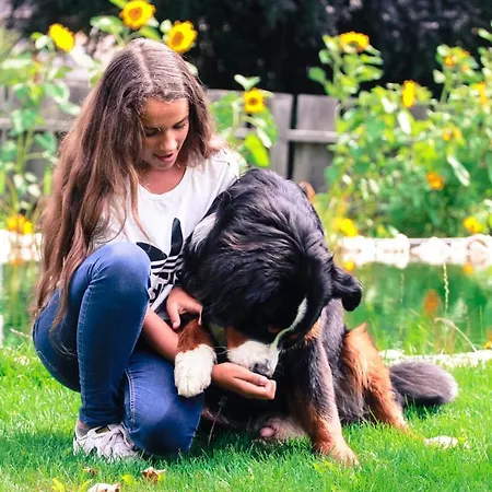 Traumplatzl Sankt Michael im Lungau