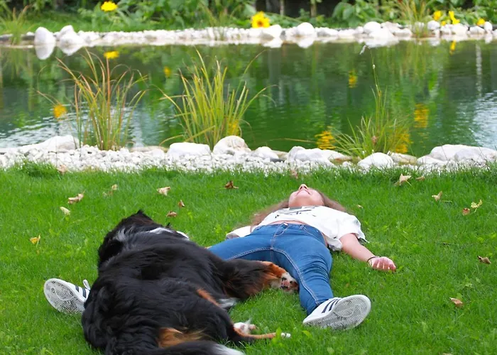 Daire Traumplatzl Sankt Michael im Lungau