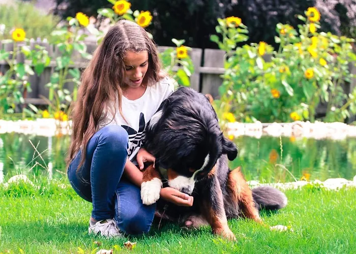 Traumplatzl Sankt Michael im Lungau